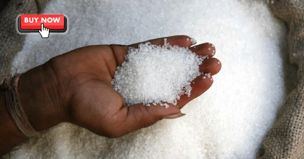 Avadh-Sugar-&-Energy-Share-Price-Target