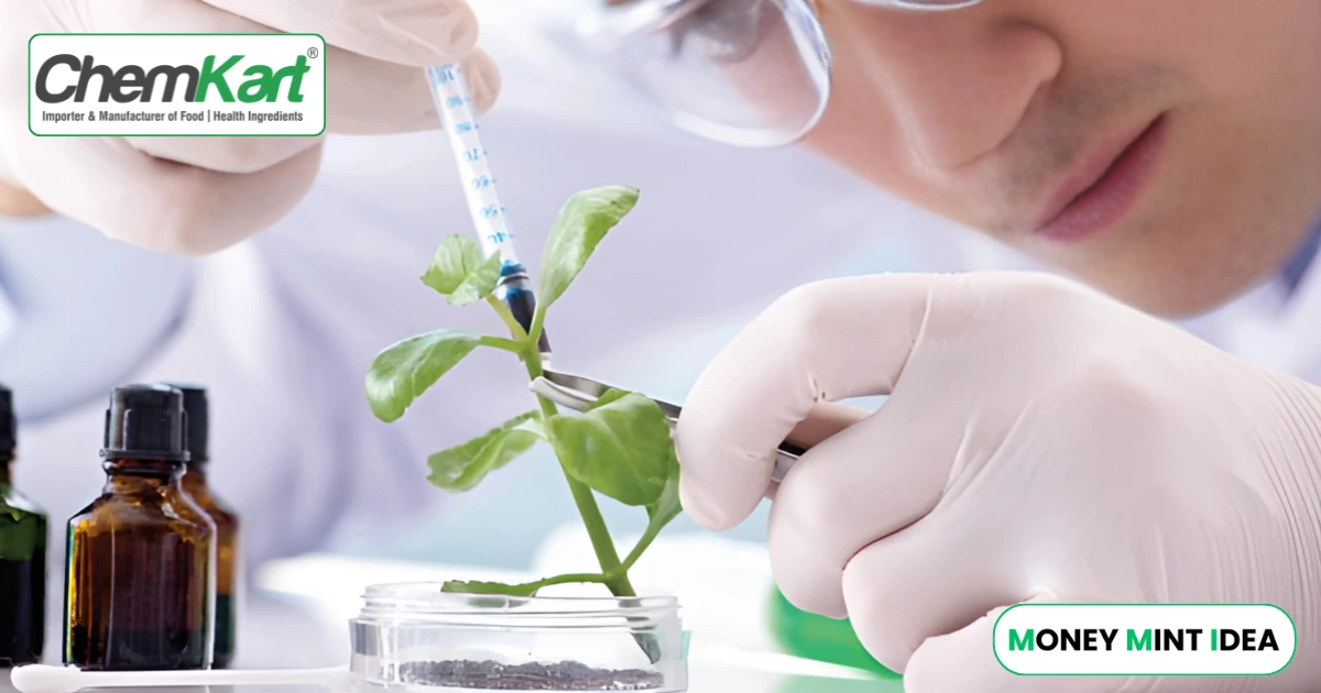 Chemkart-India-IPO-GMP-Today-Grey-Market-Premium-Live