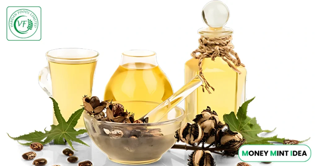 Vandan-Foods-IPO-GMP-Today-Grey-Market-Premium-Live.