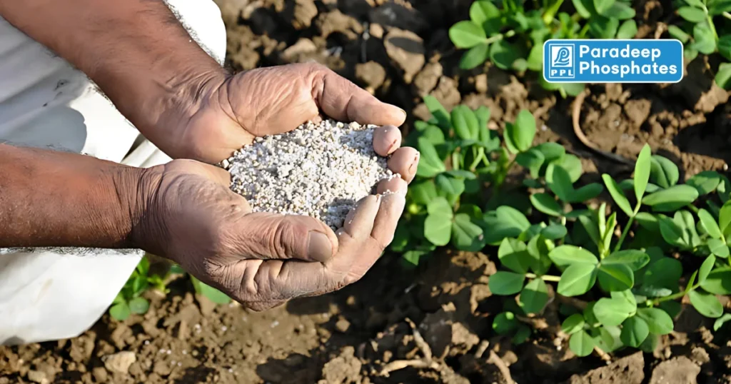 Paradeep-Phosphates-Ltd-Share-Price-Target