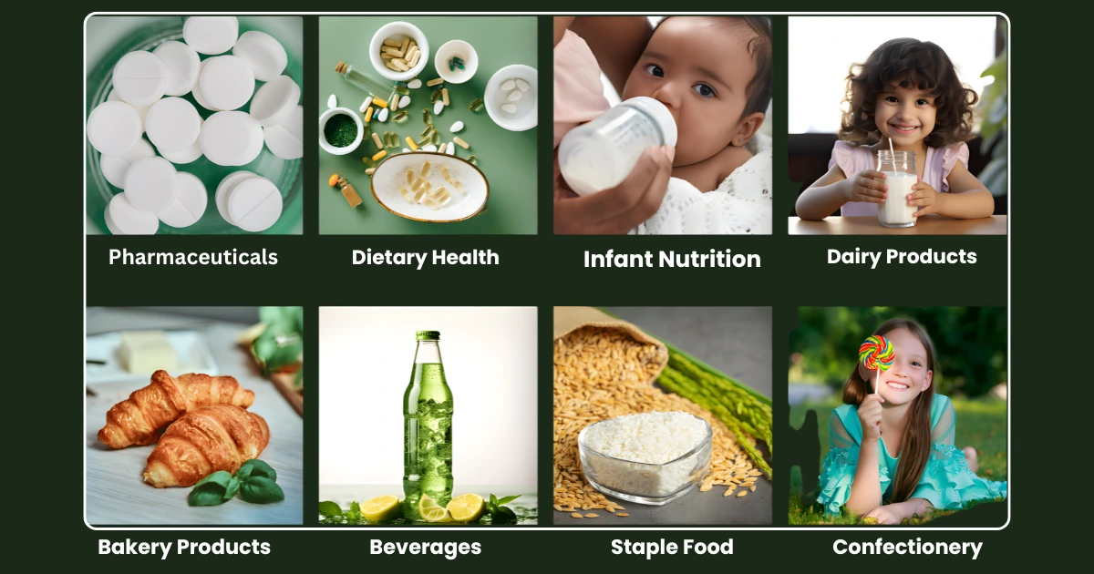 Our-business-is-Primarily-Structured-into-Two-Verticals.